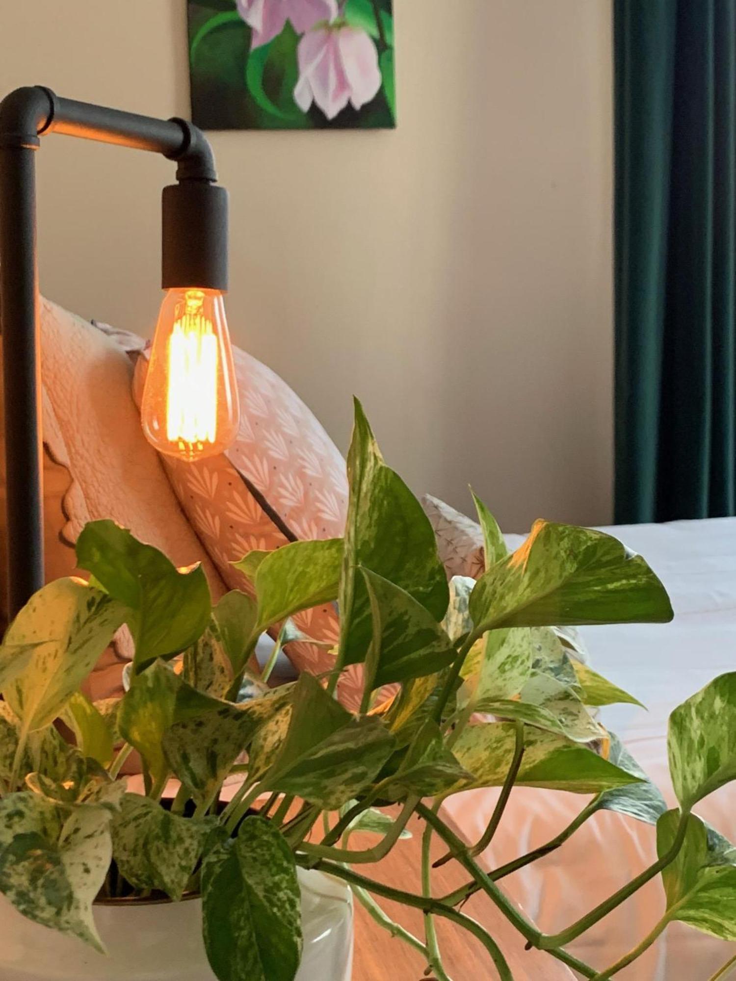 เลอ 14 แซ็งมิเชล Bed & Breakfast โฌสแล็ง ห้อง รูปภาพ